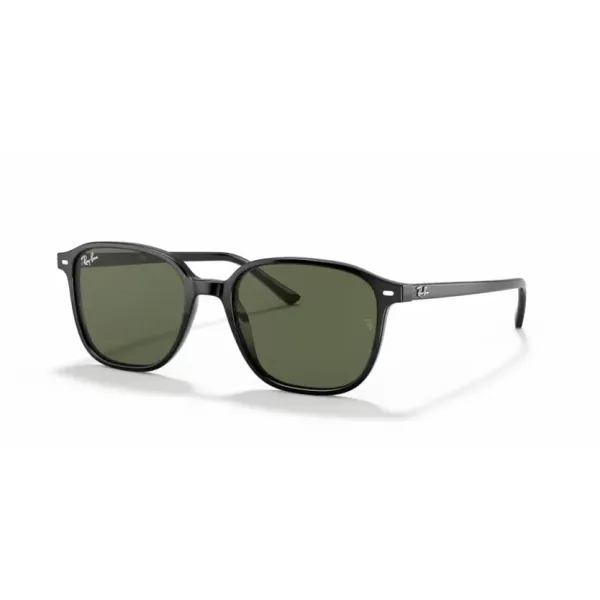 Ray-Ban RB2193 Leonard