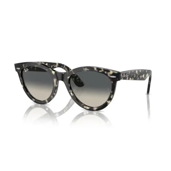 Ray-Ban RB2241 Wayfarer