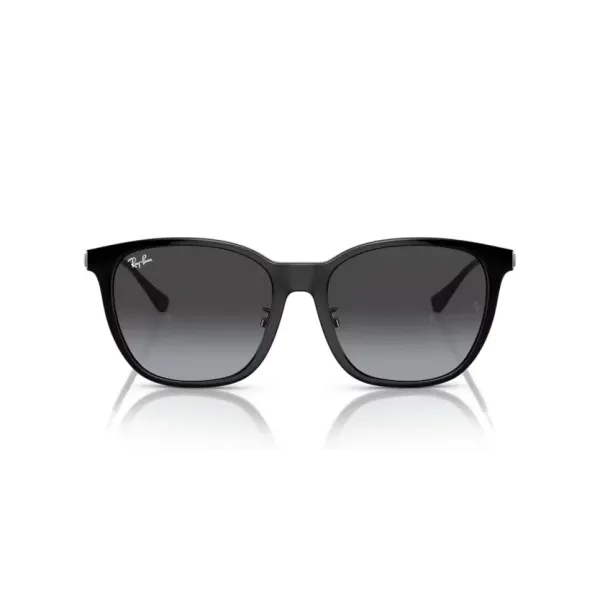 Ray Ban RB4333D