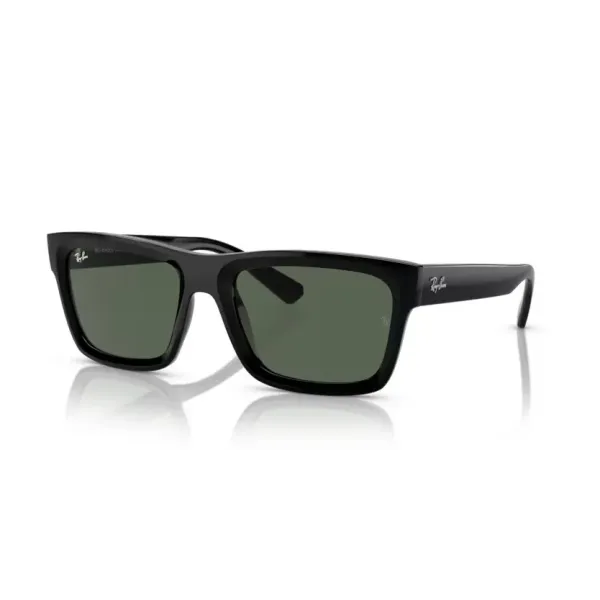 Ray-Ban RB4396 Warren