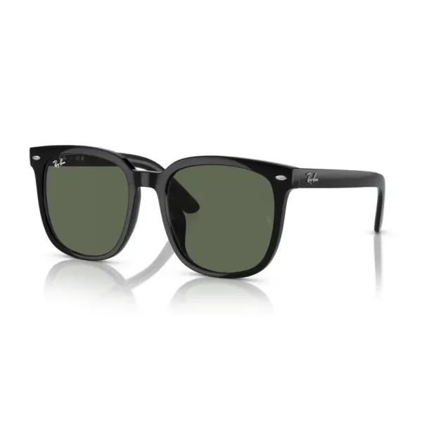 Ray Ban RB4401D